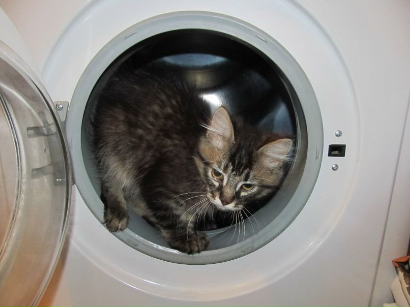 Наташа Ласкина | Санкт-Петербург