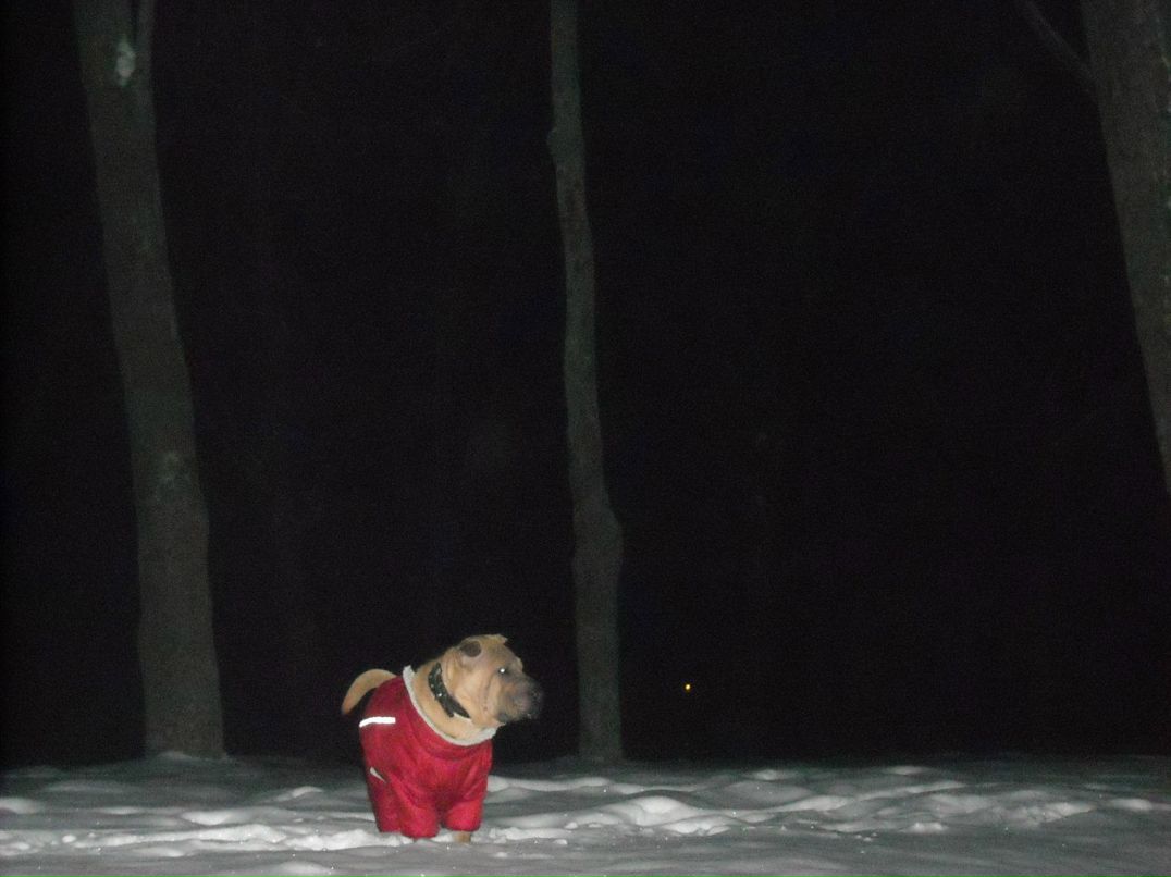 Артем Наговицын | Белая Церковь