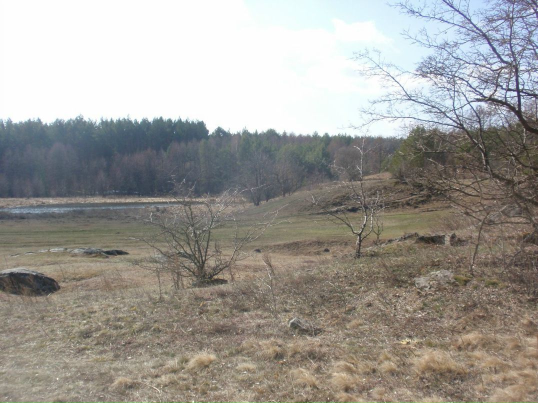 Борис Блаженний | Киев