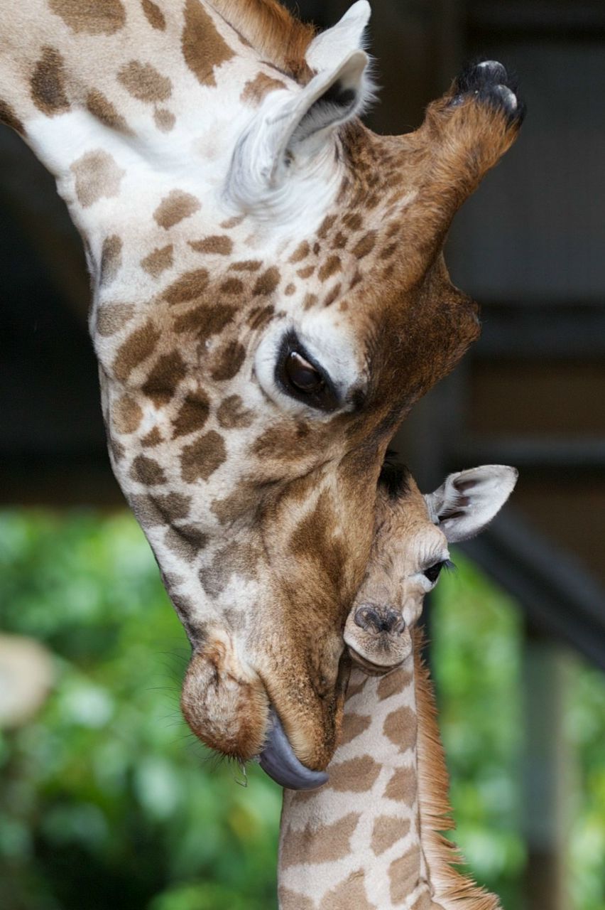 Юленька Агапова | Пенза