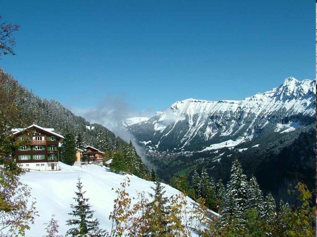 Екатерина Тимофеева | 