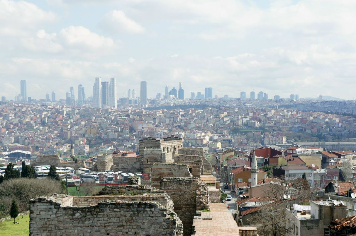 Роман Шипилов | Санкт-Петербург