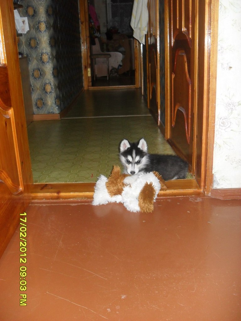 Ирина Вакуленко | Москва