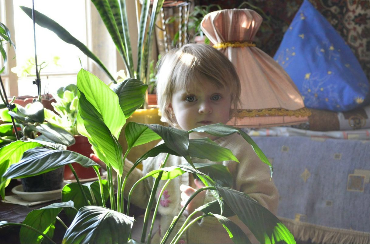 Алексей Жуков | Тверь