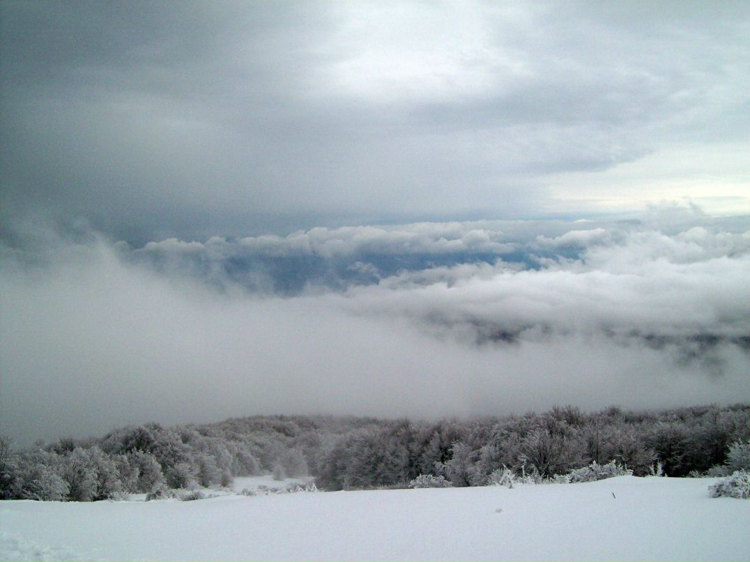 Антонина Плескунова | Симферополь