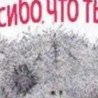 №6, Олеся Мелешко, 34 года, Дмитров №6, Олеся Мелешко, 34 года, Дмитров