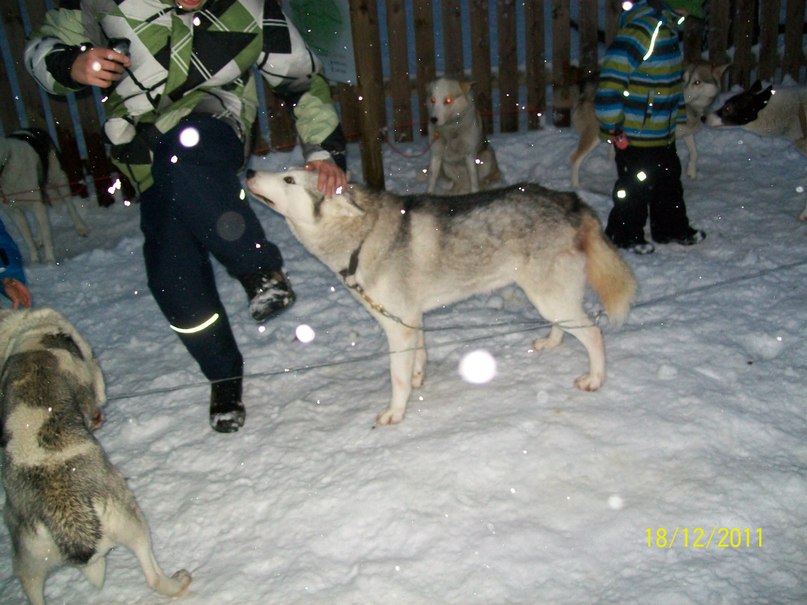 Алина Ескина *без подруги не как* | Костомукша