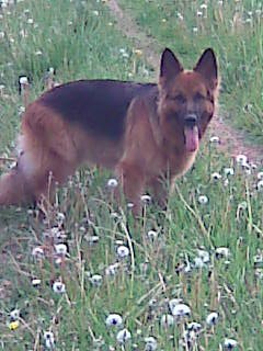 Анна Серова | Вологда