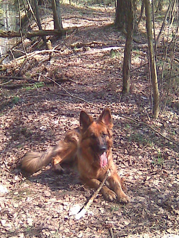 Анна Серова | Вологда