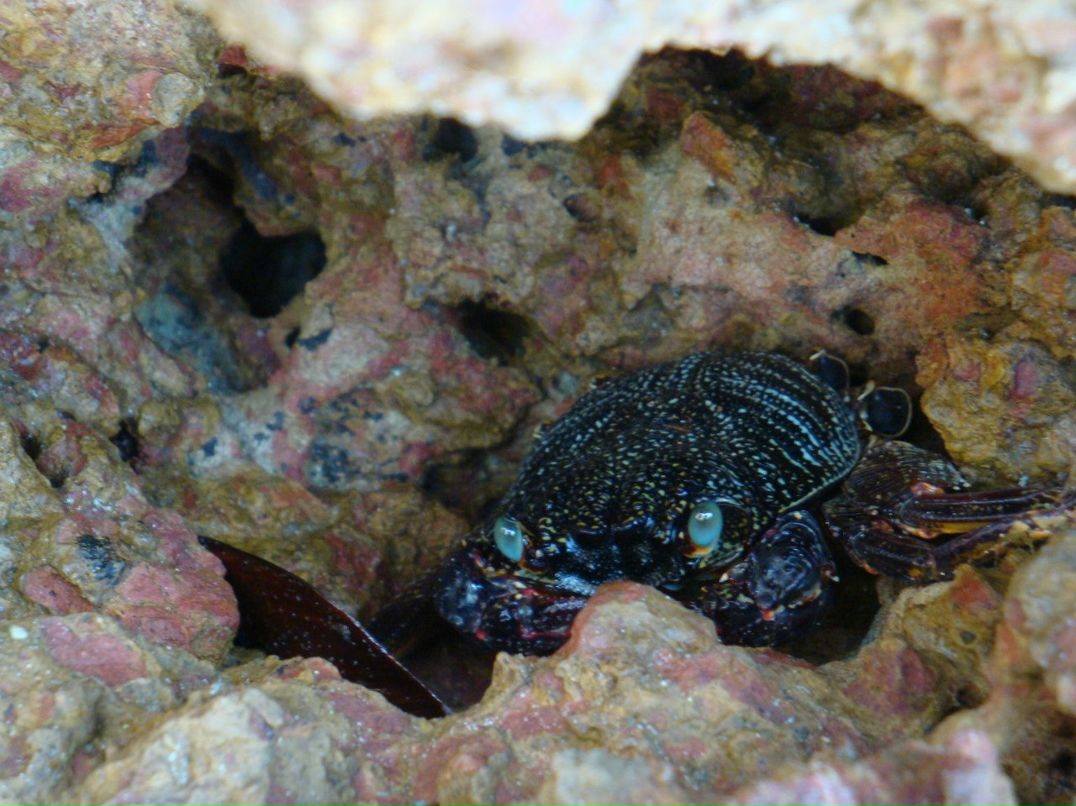 Тоня Носко | Ивано-Франковск