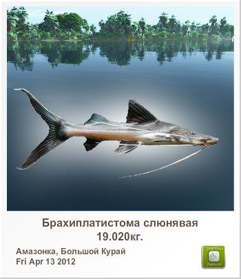 Юрий Недосекин | Рига