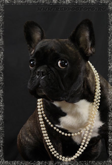 Юля Кочко | Донецк