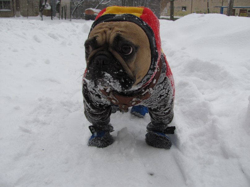 Марія Феденюк | Винница