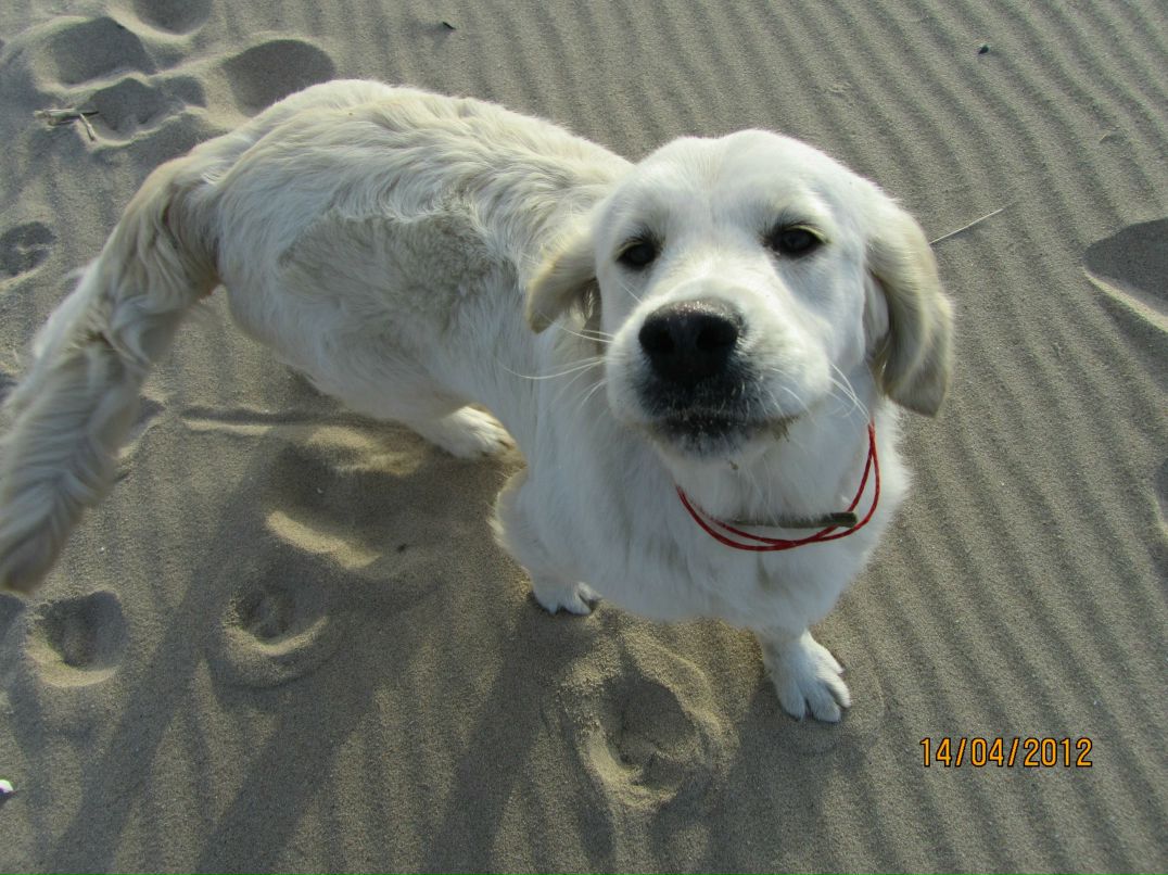 Екатерина Дремлюк-Рябинина | Одесса