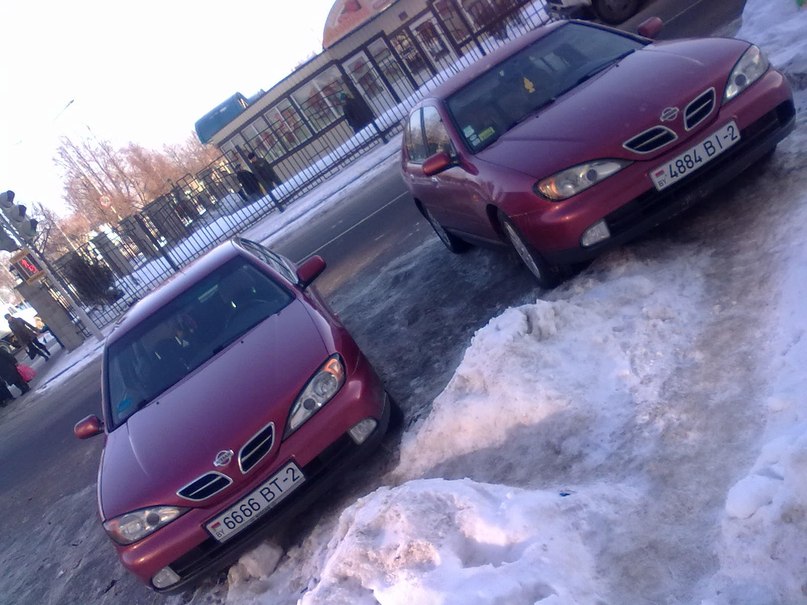 Дмитрий Смирнов | Минск