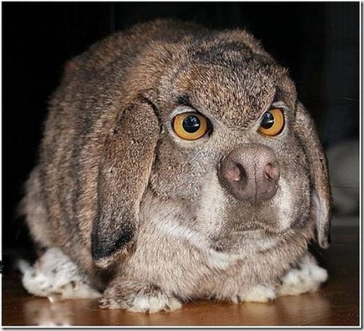 Даниил Юрьевич | Санкт-Петербург