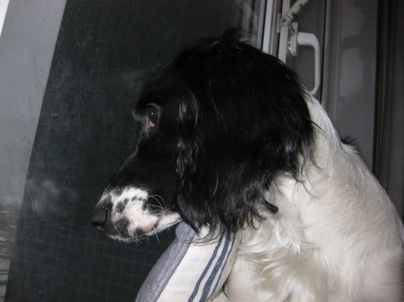 Елена Елизарова | Санкт-Петербург