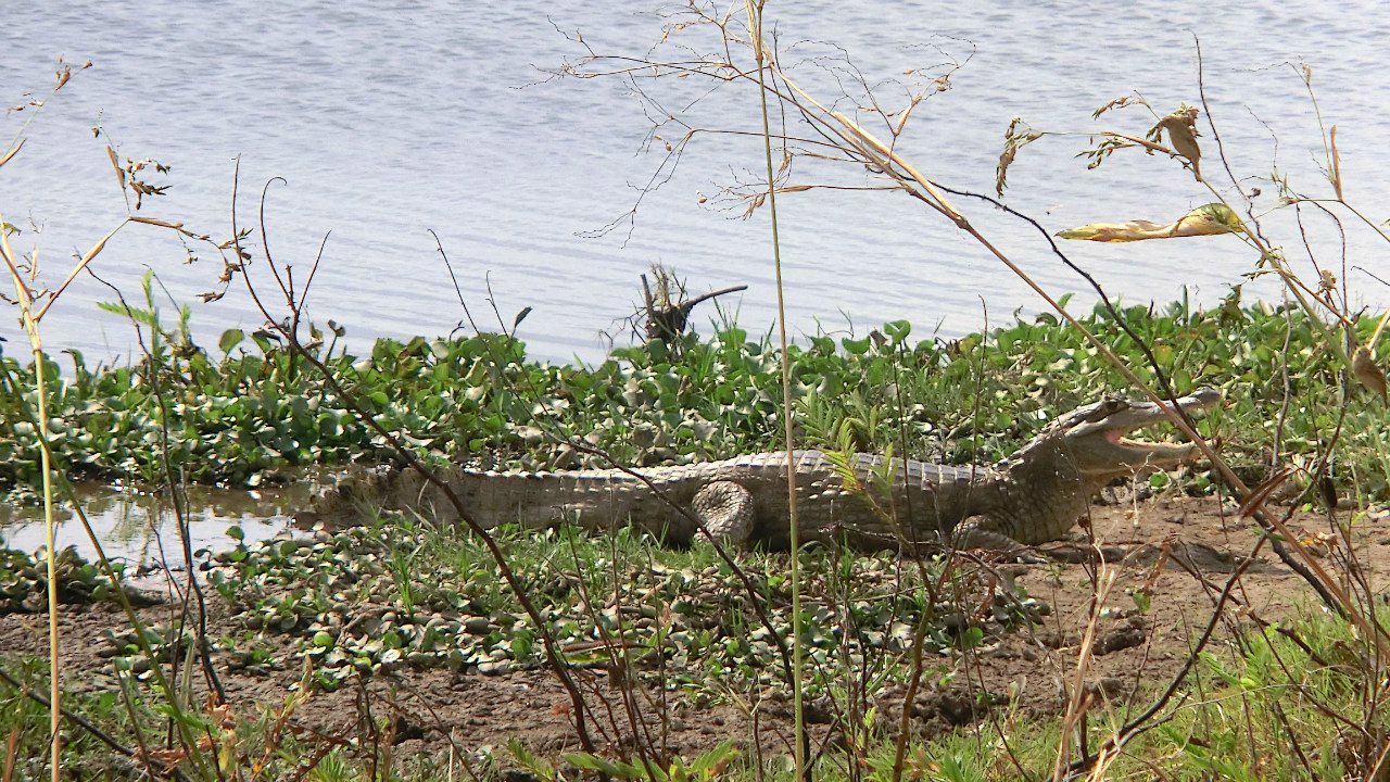 Виктория Иоаннидис | Москва