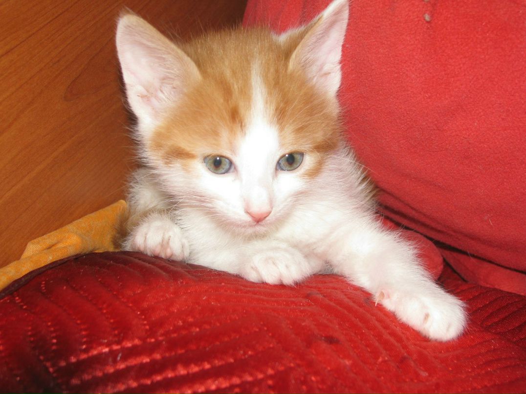 Андрей Макаров | Москва