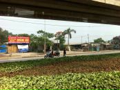 №15, Екатерина Патюлина, 15.4, Москва, Россия №15, Екатерина Патюлина, 15.4, Москва, Россия