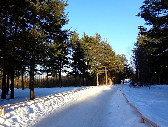 Наталья Кудрявцева | Сургут