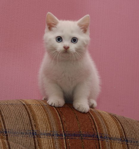 Светлана Никитина | Красноярск