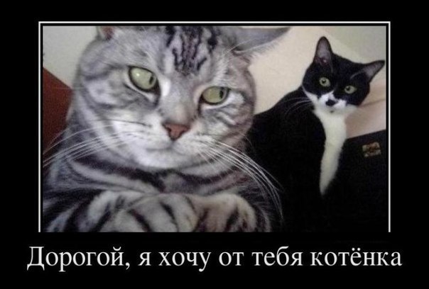 Name Less | Санкт-Петербург