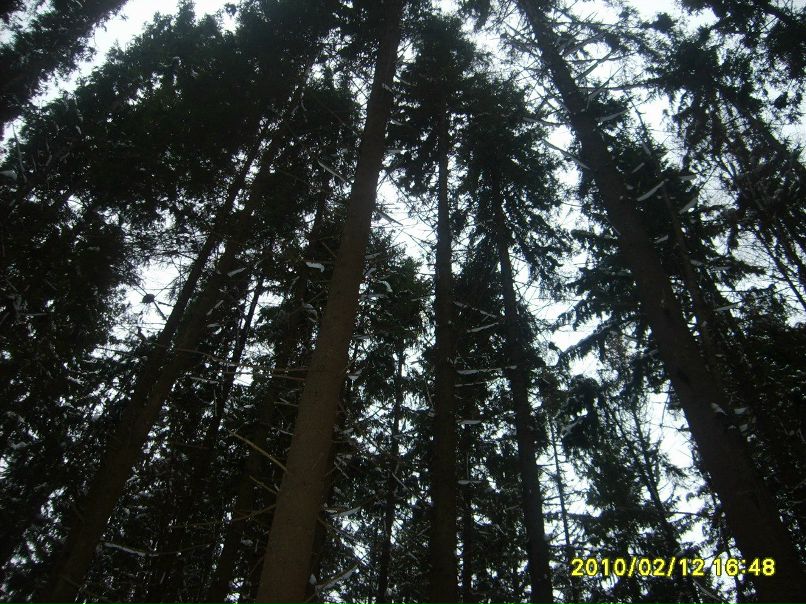 Алексей Антонов | Старая Русса