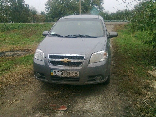 Александр Донец | Приазовское