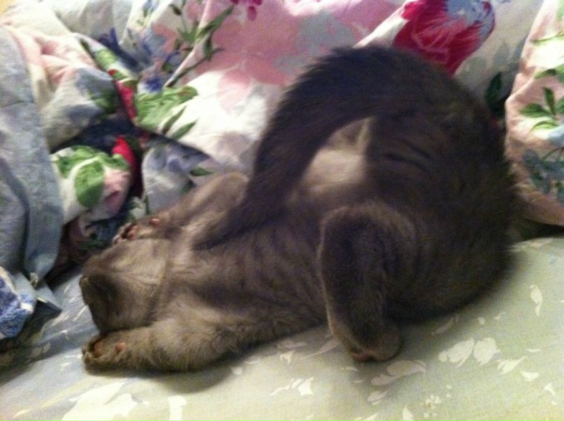 №45, Мария Шако, 36 лет, Москва №45, Мария Шако, 36 лет, Москва