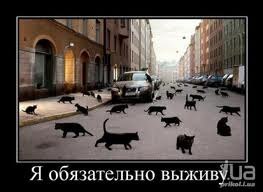 Олег Вытиск | Коростышев