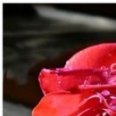 №46, Аня Шулянова, Беломорск №46, Аня Шулянова, Беломорск