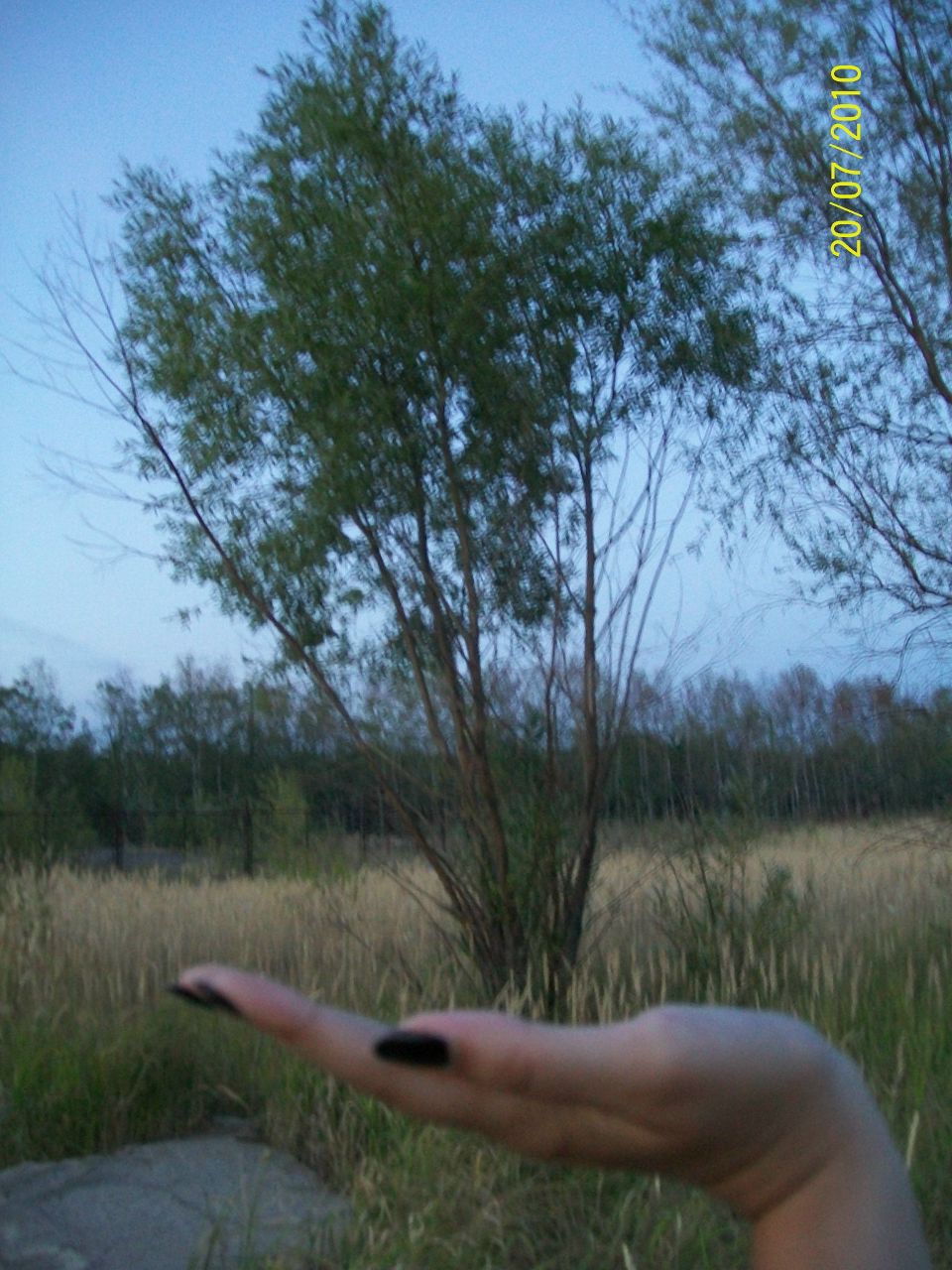 Алиса Субботина | Казань