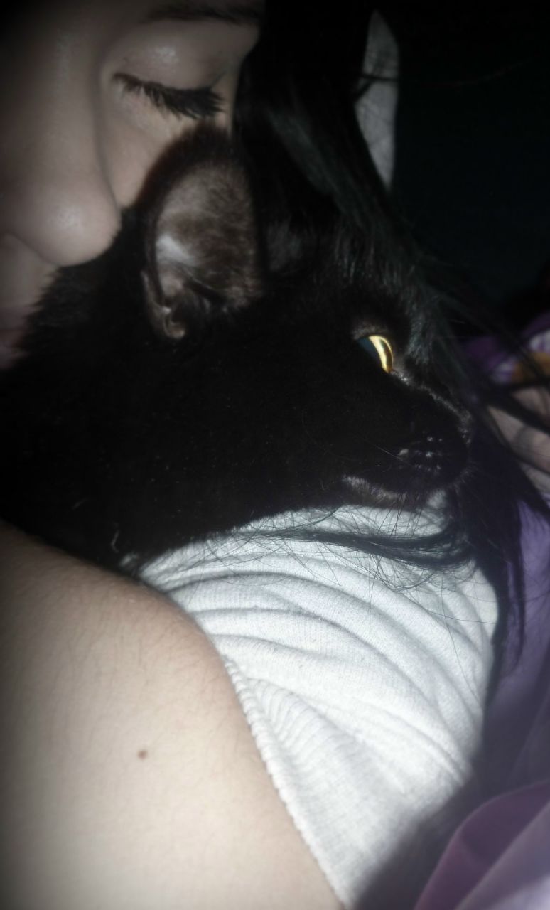 Анастасия Черникова | 