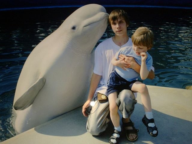 Леонид Гончаров ((((([разведчик]))))) | Москва