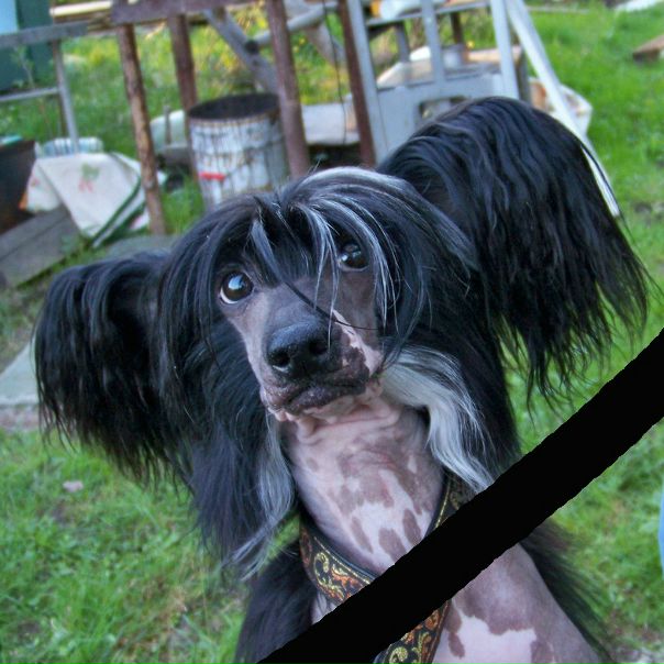 №22, Мария Frolova, Санкт-Петербург №22, Мария Frolova, Санкт-Петербург