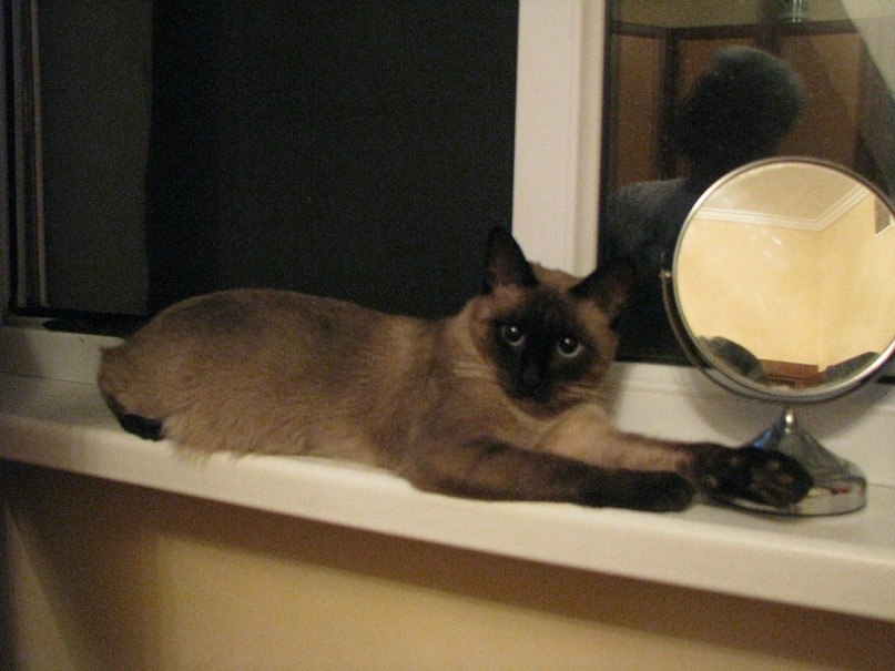 Баур Ермекбаев | Алматы