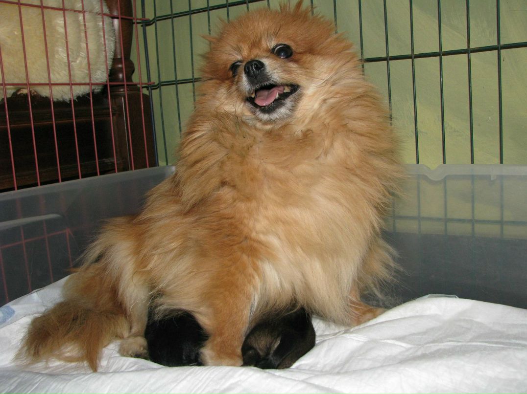 Юля Иванова | Санкт-Петербург