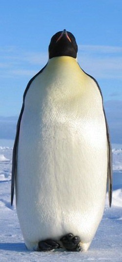 №100, Вотякова Вотякова №100, Вотякова Вотякова