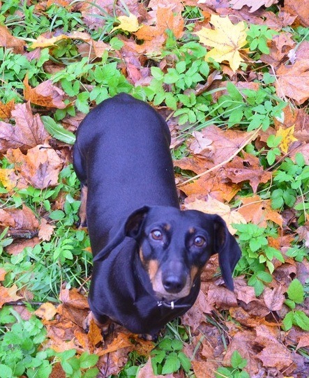 №159, Ника Мельникова, Санкт-Петербург №159, Ника Мельникова, Санкт-Петербург