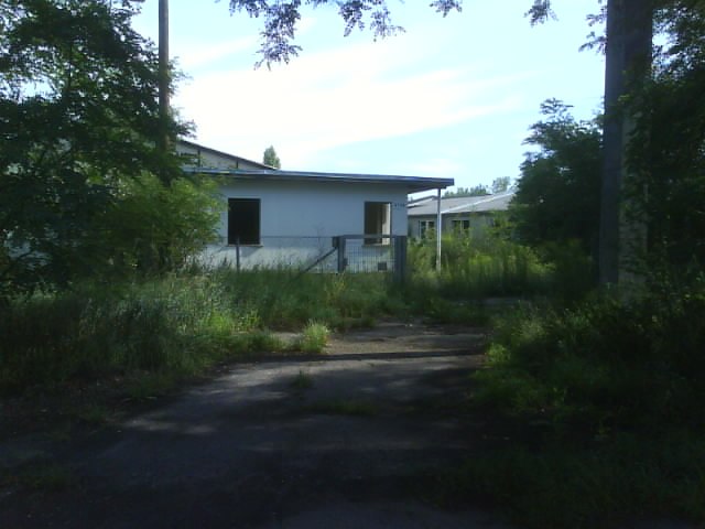 Владимир Бардашевич | Почеп