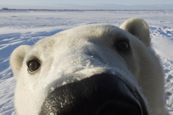 Игорь Андреев | Москва
