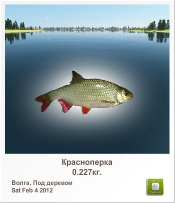 Алексей Кленовский | Ульяновск