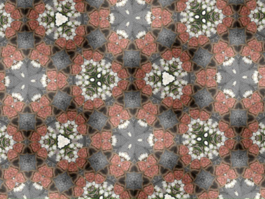 Елена Филатова | Омск