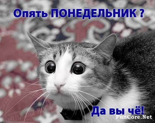 Лена Лысенко | Мелитополь