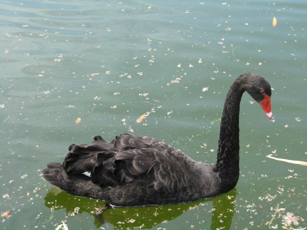 Мария Мартынова | Челябинск