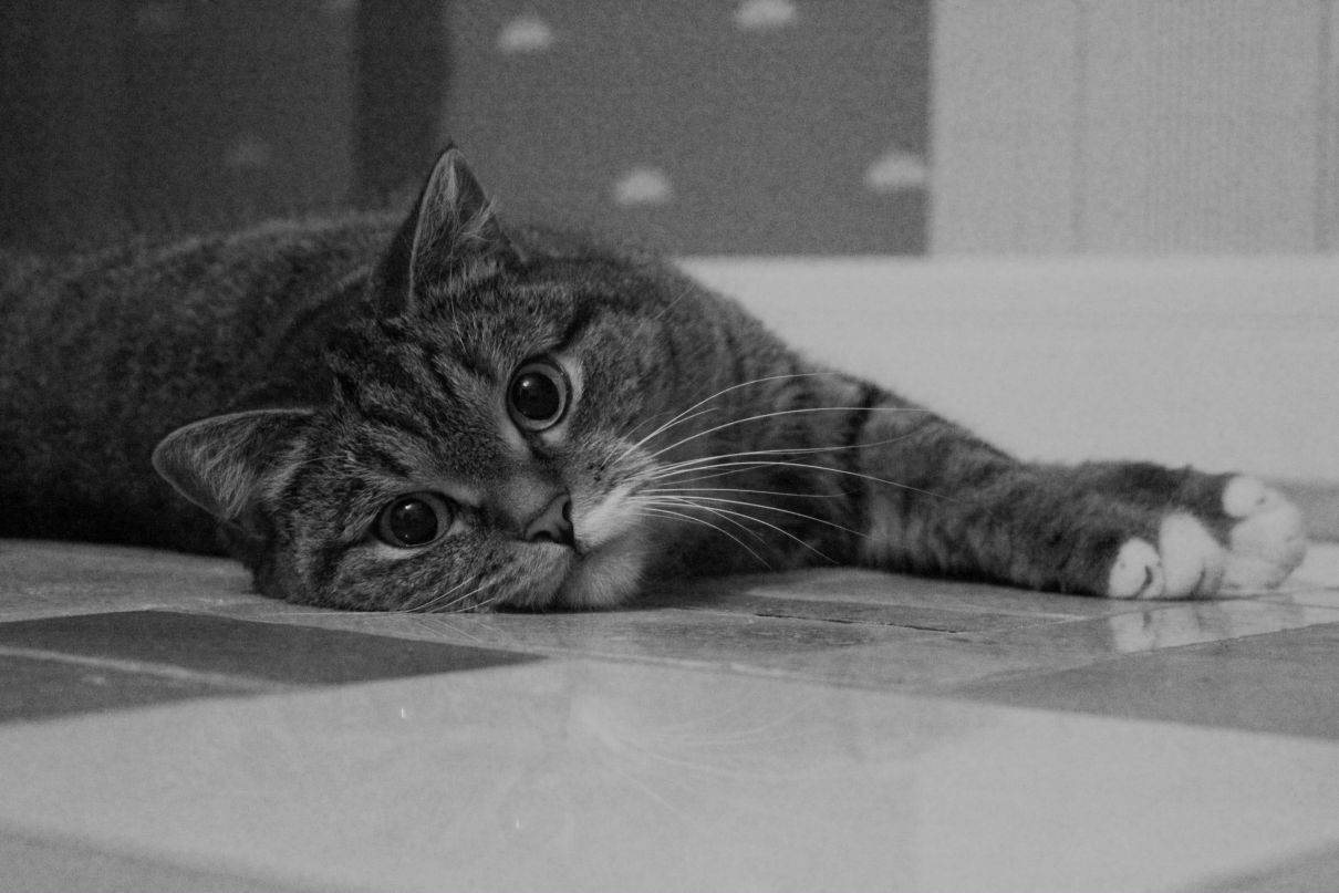 Женя Иващенко | Москва