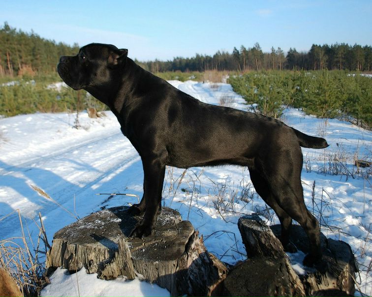 №15, Игорь Щербань, Токмак №15, Игорь Щербань, Токмак