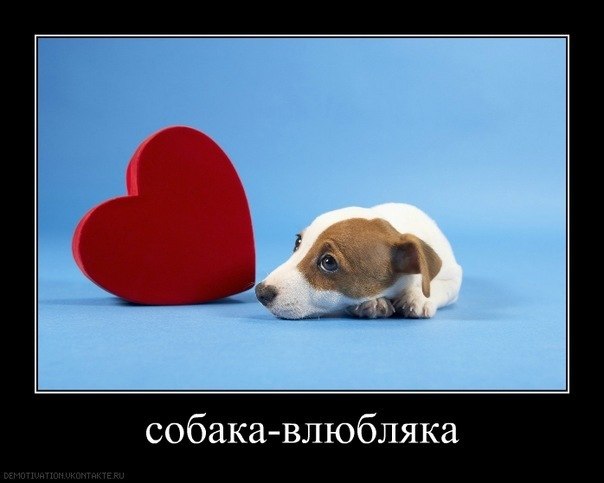 Лена Юрина | 