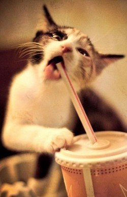 Екатерина Кожина | Кирово-Чепецк